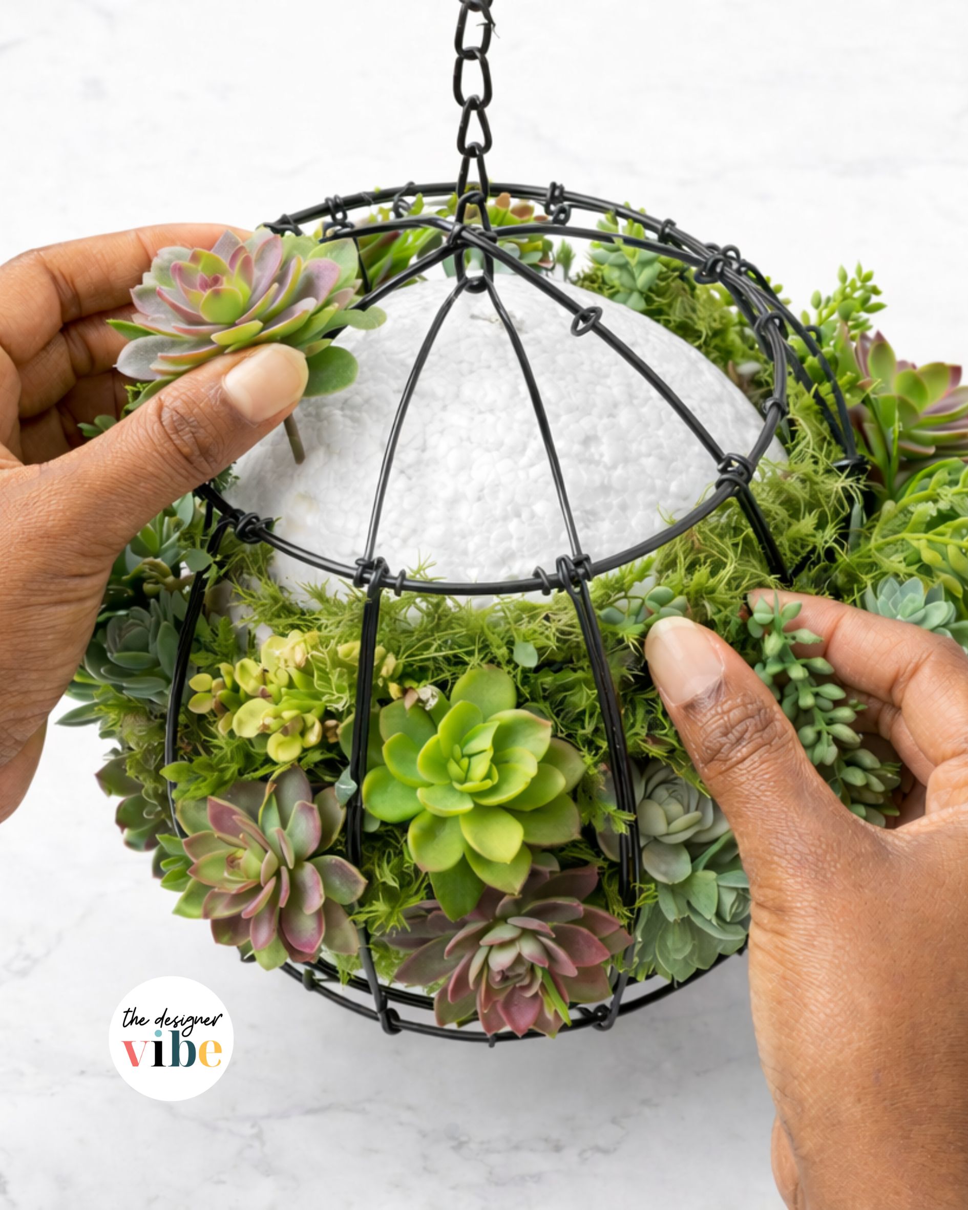 Dollar Tree succulent DIY